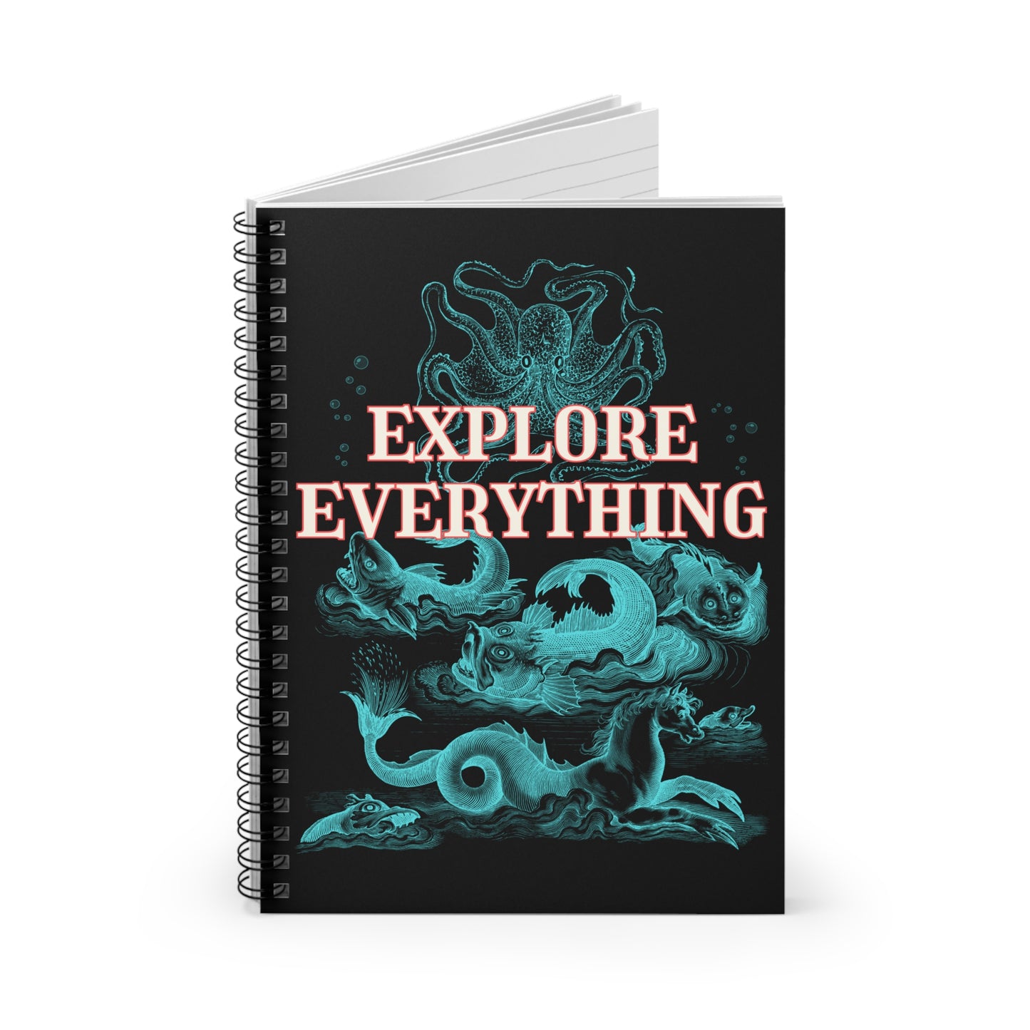 Explore Everything Notebook