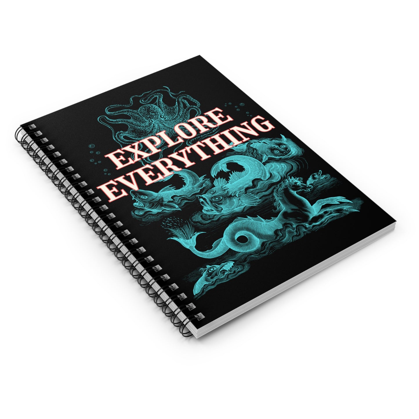 Explore Everything Notebook